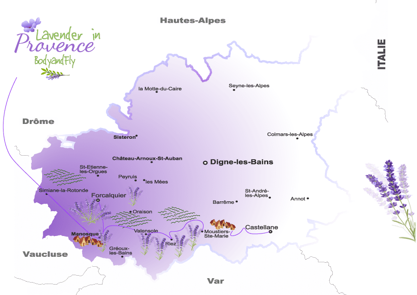 champs de lavande bodyandfly-route-de-la-lavande--lavender-map-in-France